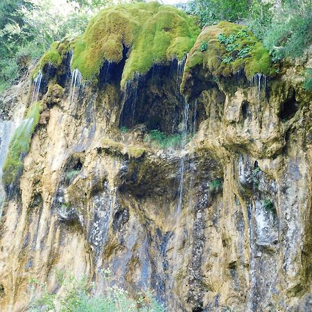Cabana Dintre Munti Vidra  المظهر الخارجي الصورة