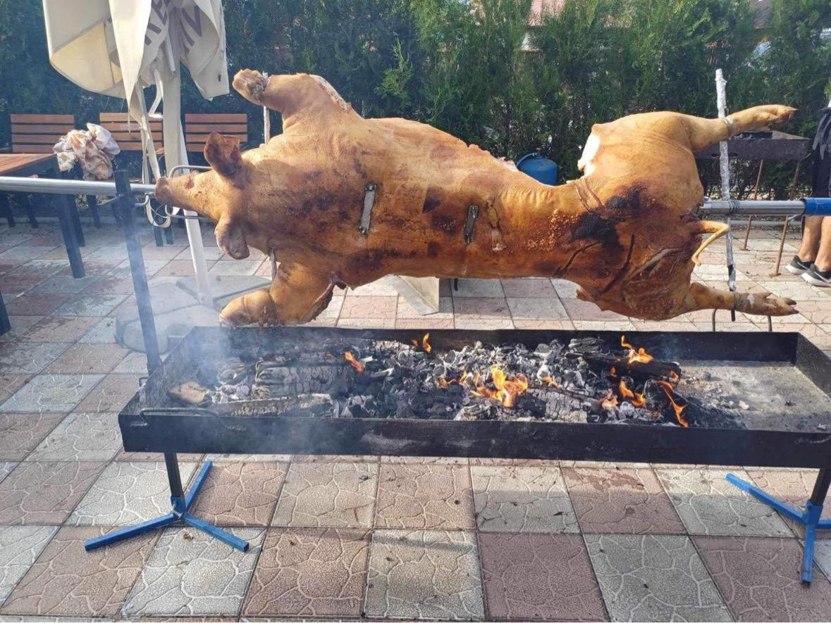 Cabana Dintre Munti Vidra  المظهر الخارجي الصورة